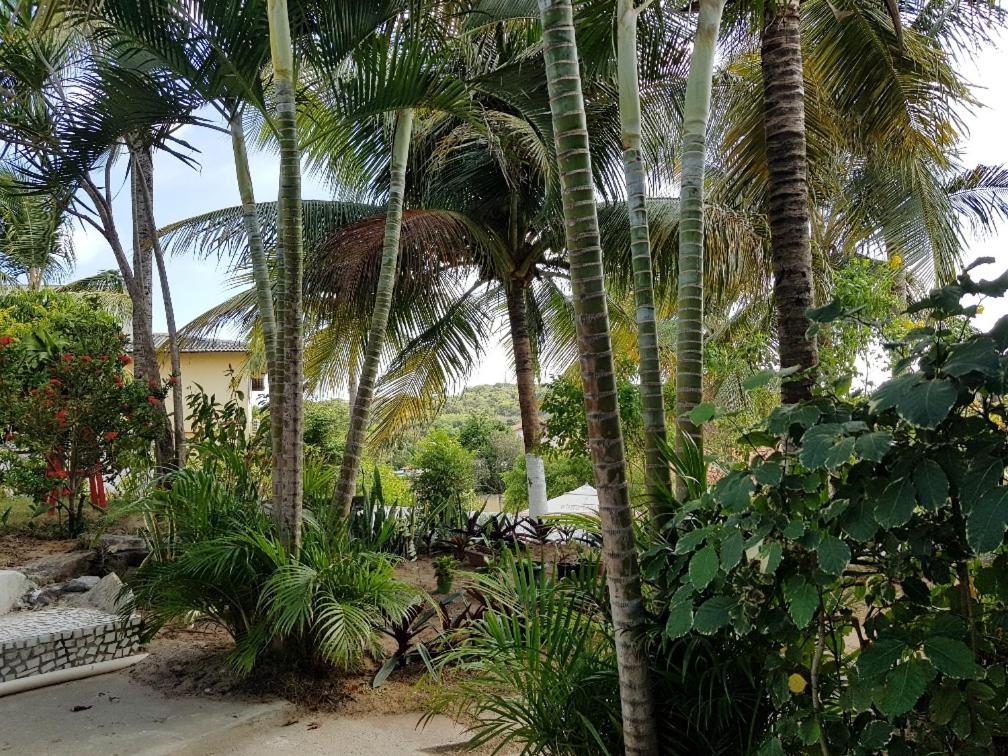 Praia de PipaCasa Tua Pipa公寓 外观 照片